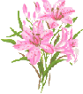 flower1h.gif